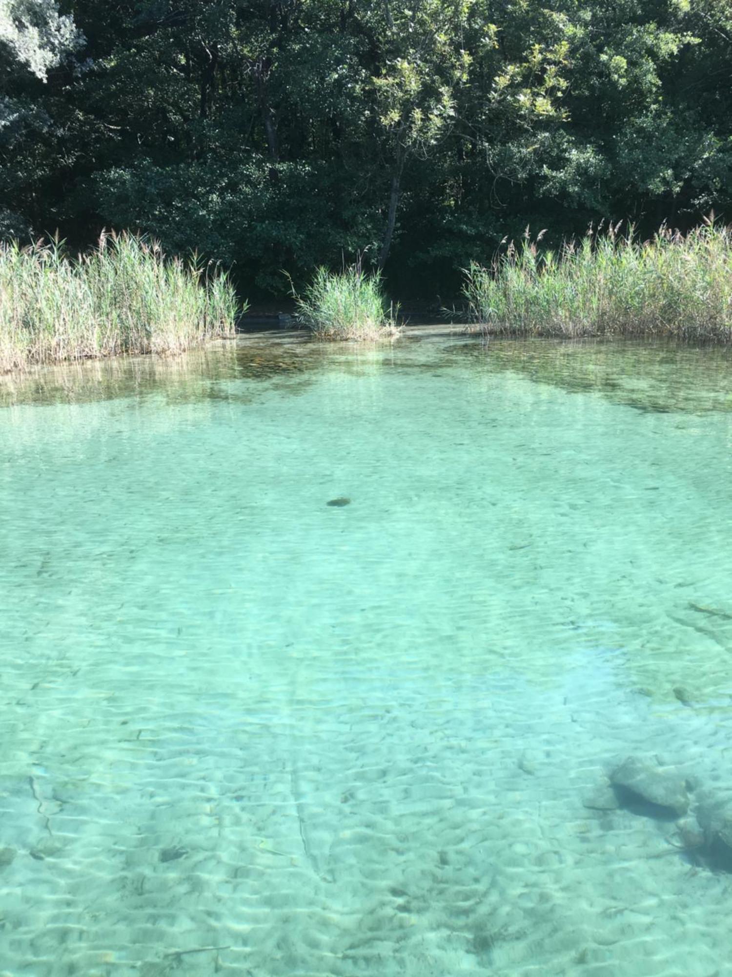 -Ortaflats- Appartamenti Imbarcadero & Palazzotto Orta San Giulio Zewnętrze zdjęcie